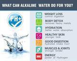 Load image into Gallery viewer, Alkaline Water Bottle